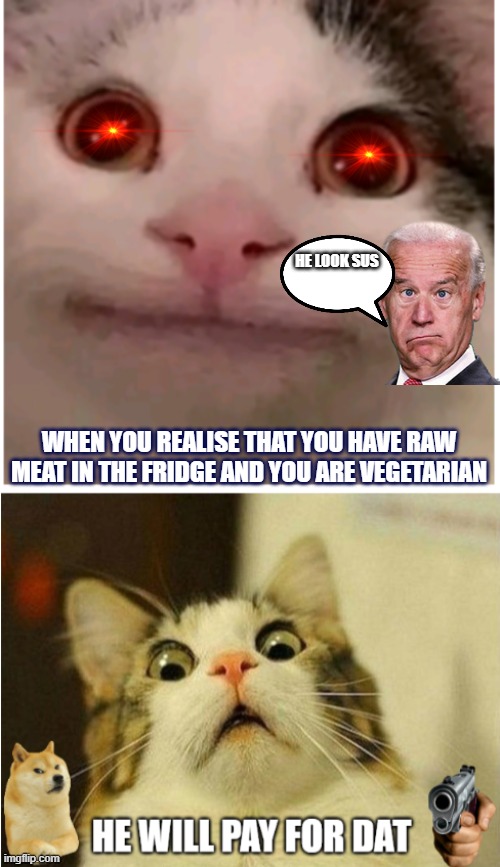 relatable anyone?? :P | HE LOOK SUS; WHEN YOU REALISE THAT YOU HAVE RAW MEAT IN THE FRIDGE AND YOU ARE VEGETARIAN | image tagged in cat,relatable,relatable memes | made w/ Imgflip meme maker
