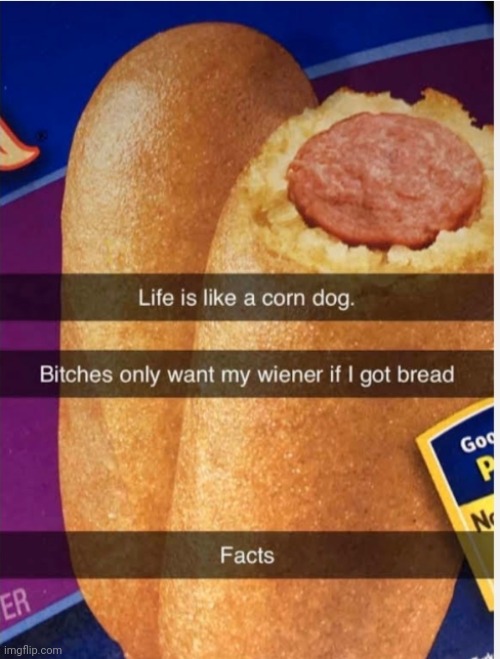 image tagged in funny memes | made w/ Imgflip meme maker