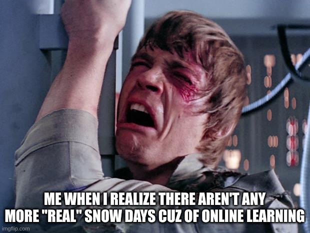 RIP to fun childhood days of playing in the snow.... |  ME WHEN I REALIZE THERE AREN'T ANY MORE "REAL" SNOW DAYS CUZ OF ONLINE LEARNING | image tagged in luke nooooo,so true memes,memes,school sucks | made w/ Imgflip meme maker