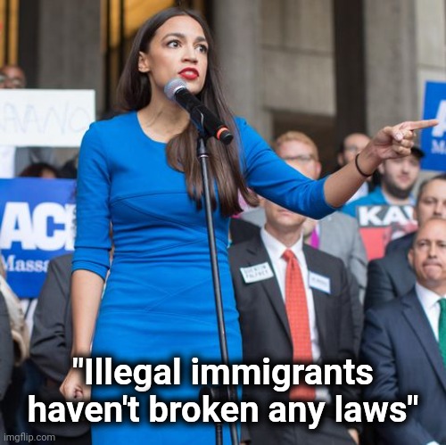 Alexandria Ocasio-Cortez Angry and Pointing Finger | "Illegal immigrants haven't broken any laws" | image tagged in alexandria ocasio-cortez angry and pointing finger | made w/ Imgflip meme maker