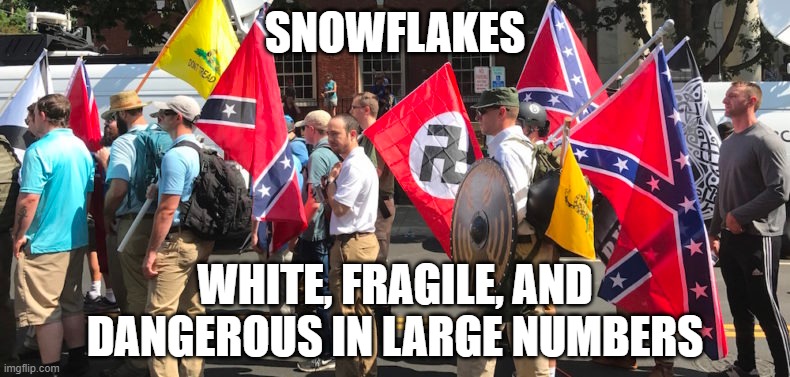 True Snowflakes | SNOWFLAKES; WHITE, FRAGILE, AND DANGEROUS IN LARGE NUMBERS | image tagged in racists,conservatives,nazis | made w/ Imgflip meme maker