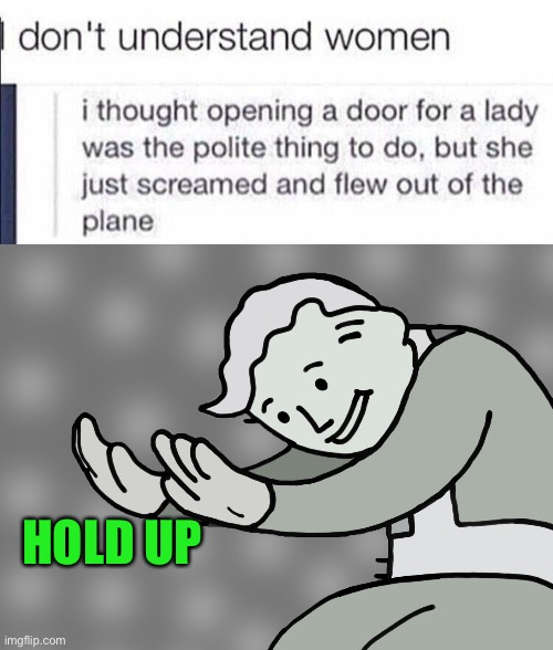 Hold up what | HOLD UP | image tagged in memes,funny,dark humor,lmao,plane,open door | made w/ Imgflip meme maker
