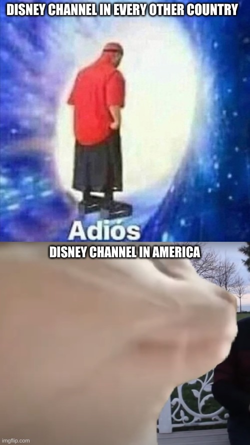 god i hope i dont jinx it | DISNEY CHANNEL IN EVERY OTHER COUNTRY; DISNEY CHANNEL IN AMERICA | image tagged in adios,cat vibing to ievan polkka cat meme vibing music | made w/ Imgflip meme maker