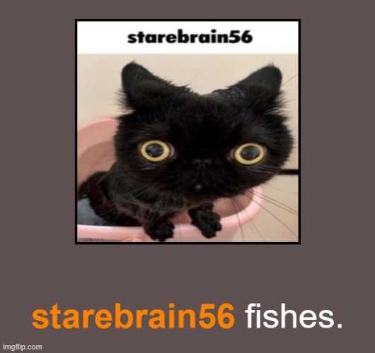 starebrain56 | made w/ Imgflip meme maker