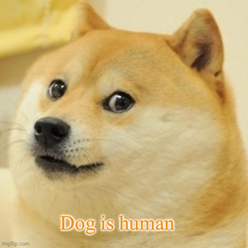 Doge | Dog is human | image tagged in memes,doge | made w/ Imgflip meme maker