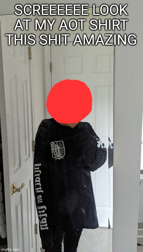 Bruh why tf am I standing so awkward | SCREEEEEE LOOK AT MY AOT SHIRT THIS SHIT AMAZING | made w/ Imgflip meme maker