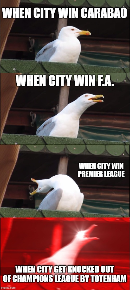 Inhaling Seagull Meme | WHEN CITY WIN CARABAO; WHEN CITY WIN F.A. WHEN CITY WIN PREMIER LEAGUE; WHEN CITY GET KNOCKED OUT OF CHAMPIONS LEAGUE BY TOTENHAM | image tagged in memes,inhaling seagull | made w/ Imgflip meme maker