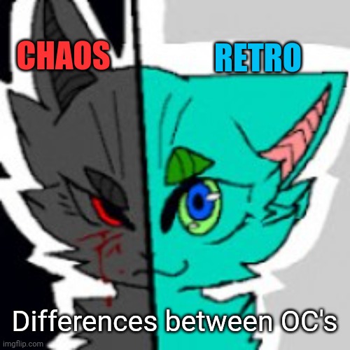 RetroFurry Announcement Template | CHAOS Differences between OC's RETRO | image tagged in retrofurry announcement template | made w/ Imgflip meme maker