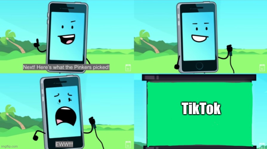 mephone disgusted | TikTok | image tagged in mephone disgusted | made w/ Imgflip meme maker