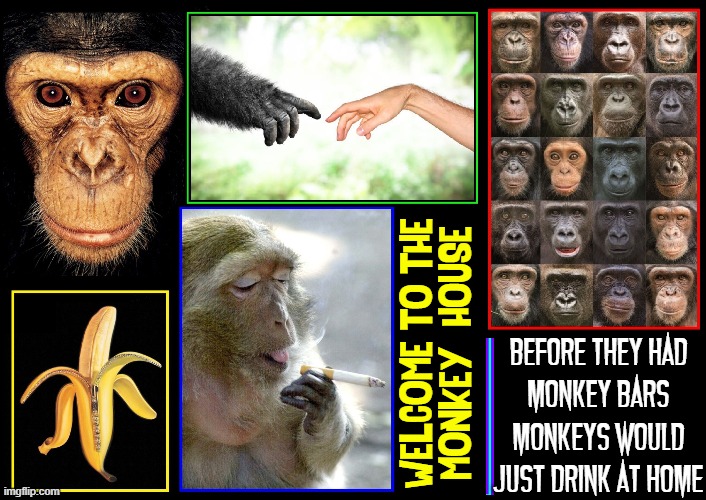 Sliding Down the Banana-ster with Furious George |  WELCOME TO THE
MONKEY  HOUSE; BEFORE THEY HAD
MONKEY BARS
MONKEYS WOULD
JUST DRINK AT HOME | image tagged in vince vance,monkeys,apes,gorillas,chimps,bananas | made w/ Imgflip meme maker