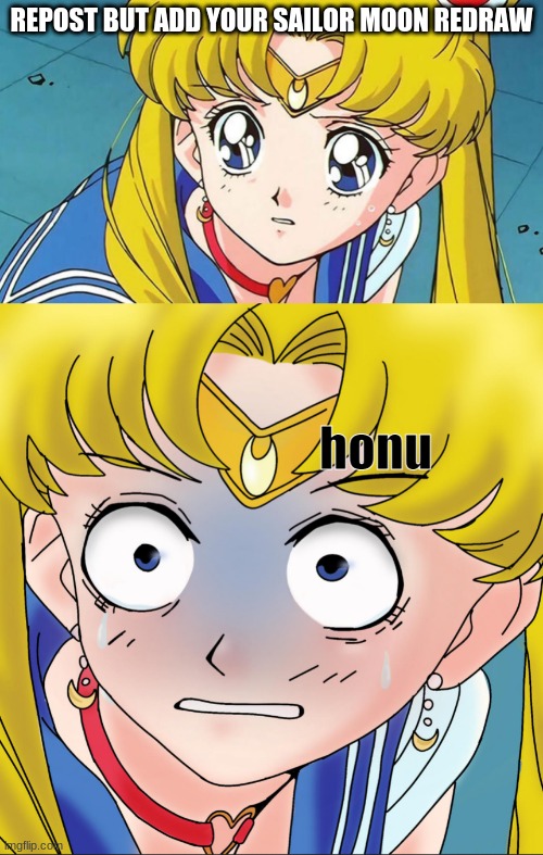 REPOST BUT ADD YOUR SAILOR MOON REDRAW; honu | made w/ Imgflip meme maker