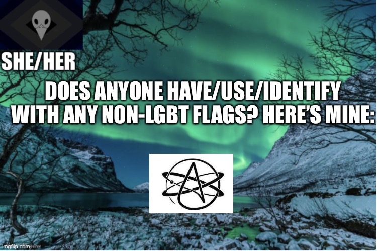 Northern Lights Termcollector Template | DOES ANYONE HAVE/USE/IDENTIFY WITH ANY NON-LGBT FLAGS? HERE’S MINE: | image tagged in northern lights termcollector template | made w/ Imgflip meme maker