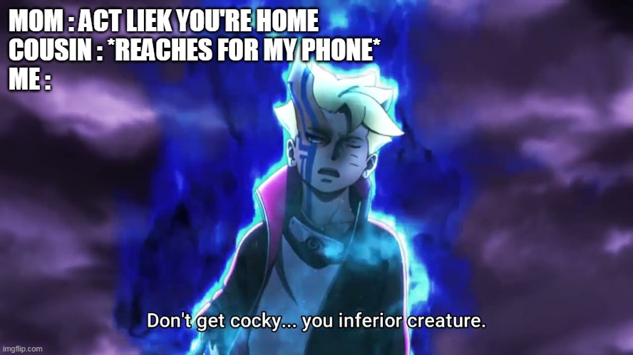 Don't get cocky... you inferior creature | MOM : ACT LIEK YOU'RE HOME
COUSIN : *REACHES FOR MY PHONE*
ME : | image tagged in don't get cocky you inferior creature | made w/ Imgflip meme maker