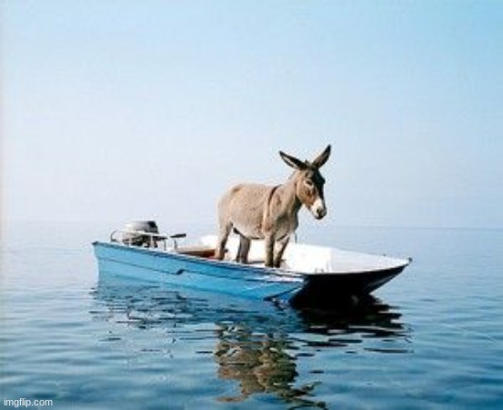 DONKEY ON A BOAT | image tagged in donkey on a boat | made w/ Imgflip meme maker