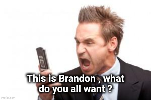 angry phone call | This is Brandon , what
do you all want ? | image tagged in angry phone call | made w/ Imgflip meme maker