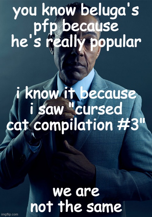 beluga overrated | you know beluga's pfp because he's really popular; i know it because i saw "cursed cat compilation #3"; we are not the same | image tagged in gus fring we are not the same | made w/ Imgflip meme maker