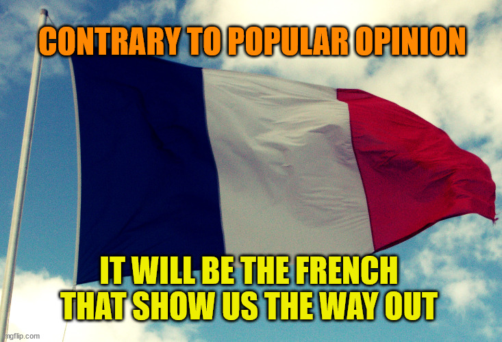 French Flag | CONTRARY TO POPULAR OPINION; IT WILL BE THE FRENCH THAT SHOW US THE WAY OUT | image tagged in french flag | made w/ Imgflip meme maker