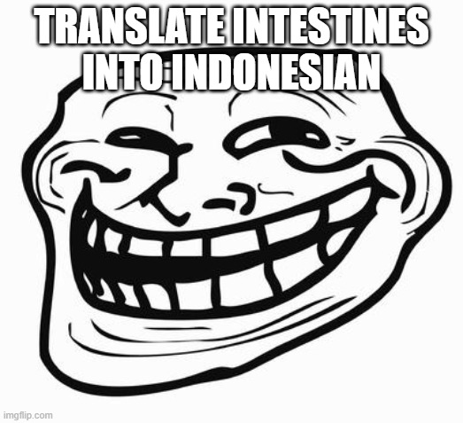 Trollface | TRANSLATE INTESTINES INTO INDONESIAN | image tagged in trollface | made w/ Imgflip meme maker
