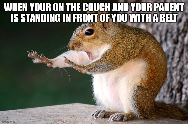 Whoa now Squirrel | WHEN YOUR ON THE COUCH AND YOUR PARENT IS STANDING IN FRONT OF YOU WITH A BELT | image tagged in whoa now squirrel | made w/ Imgflip meme maker