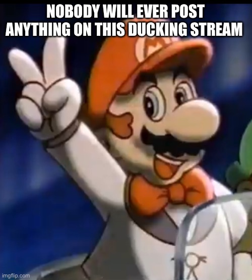 Tuxedo Mario | NOBODY WILL EVER POST ANYTHING ON THIS DUCKING STREAM | image tagged in tuxedo mario | made w/ Imgflip meme maker