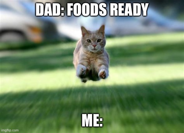 cat flying | DAD: FOODS READY; ME: | image tagged in cat flying | made w/ Imgflip meme maker