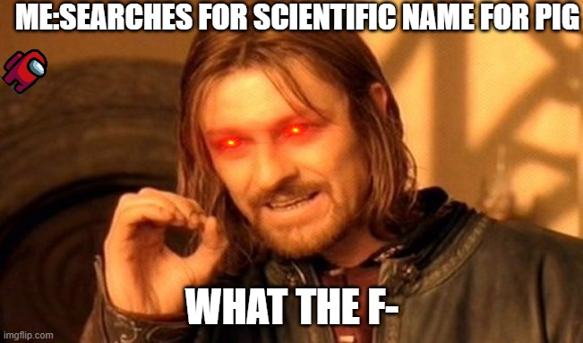 dont you dare search it... | ME:SEARCHES FOR SCIENTIFIC NAME FOR PIG; WHAT THE F- | image tagged in memes,one does not simply | made w/ Imgflip meme maker