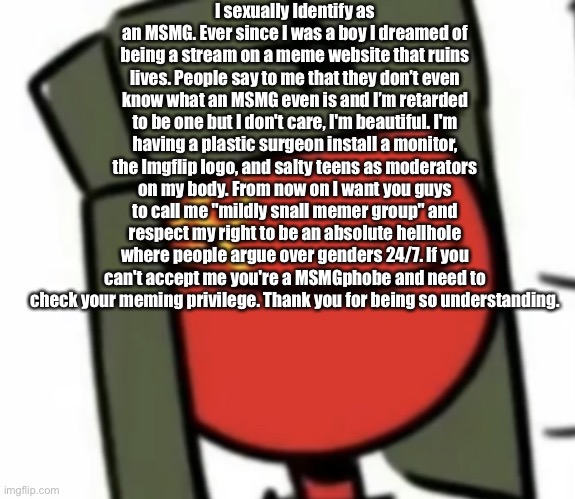 a | I sexually Identify as an MSMG. Ever since I was a boy I dreamed of being a stream on a meme website that ruins lives. People say to me that they don’t even know what an MSMG even is and I’m retarded to be one but I don't care, I'm beautiful. I'm having a plastic surgeon install a monitor, the Imgflip logo, and salty teens as moderators on my body. From now on I want you guys to call me "mildly snall memer group" and respect my right to be an absolute hellhole where people argue over genders 24/7. If you can't accept me you're a MSMGphobe and need to check your meming privilege. Thank you for being so understanding. | made w/ Imgflip meme maker
