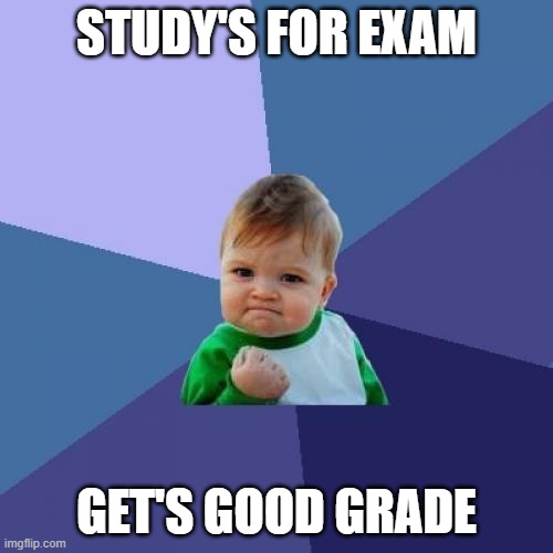 Yes! | STUDY'S FOR EXAM; GET'S GOOD GRADE | image tagged in memes,success kid,dank memes,funny | made w/ Imgflip meme maker