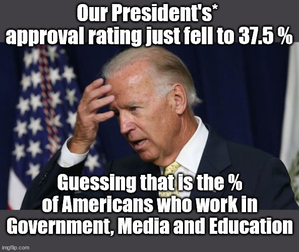 Let's Go Brai..Bran...Oh you know the thing! | Our President's* 
approval rating just fell to 37.5 %; Guessing that is the % of Americans who work in Government, Media and Education | image tagged in joe biden worries,president | made w/ Imgflip meme maker