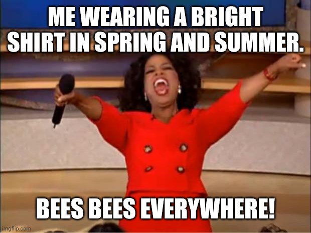 The bees | ME WEARING A BRIGHT SHIRT IN SPRING AND SUMMER. BEES BEES EVERYWHERE! | image tagged in memes,oprah you get a | made w/ Imgflip meme maker
