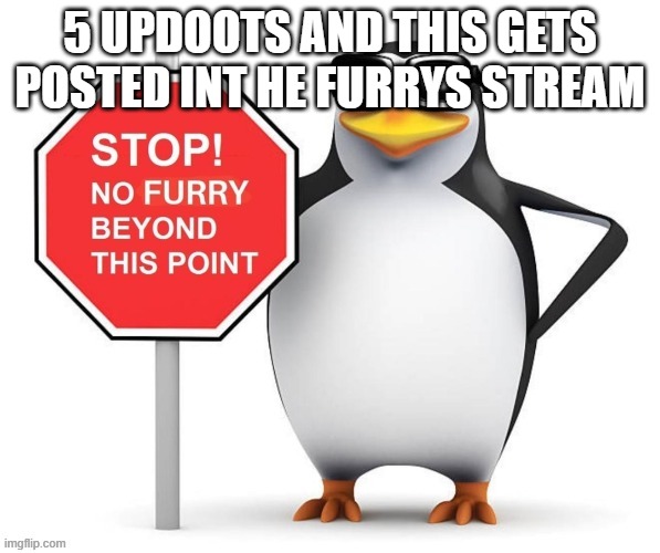 lmao | 5 UPDOOTS AND THIS GETS POSTED INT HE FURRYS STREAM | made w/ Imgflip meme maker