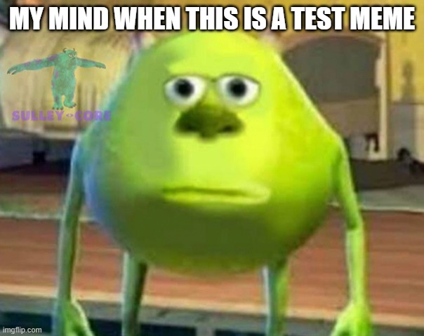 Monsters Inc | MY MIND WHEN THIS IS A TEST MEME | image tagged in monsters inc | made w/ Imgflip meme maker