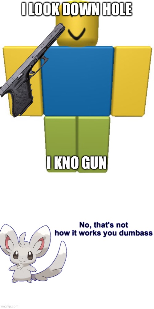 I LOOK DOWN HOLE; I KNO GUN | image tagged in roblox noob,no that's not how it works you dumbass | made w/ Imgflip meme maker