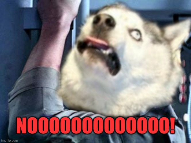 NOOOOOOOOOOOOO! | made w/ Imgflip meme maker