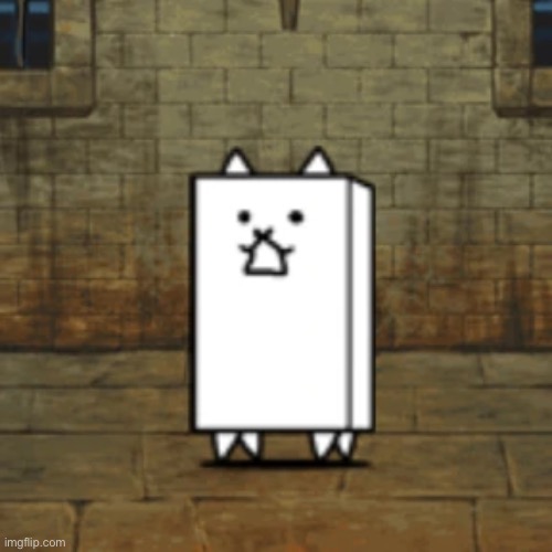 Wall Cat | image tagged in wall cat | made w/ Imgflip meme maker