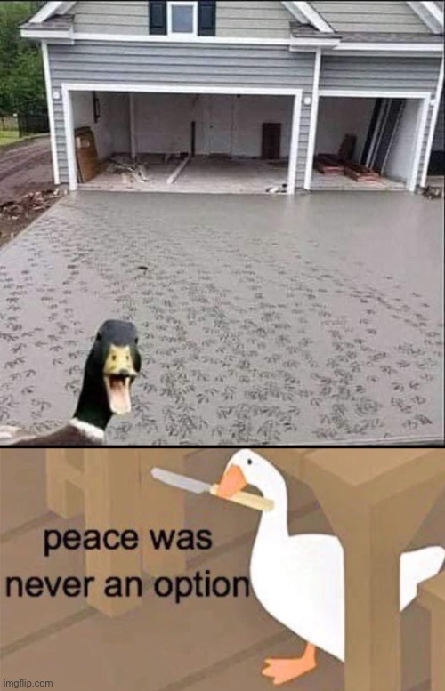 Peace was never an option | image tagged in untitled goose peace was never an option,duck,walk,steps,concrete,driveway | made w/ Imgflip meme maker