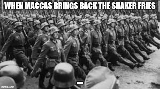 welp..... | WHEN MACCAS BRINGS BACK THE SHAKER FRIES; ... | image tagged in memes,funny,mcdonalds,lmao,army | made w/ Imgflip meme maker
