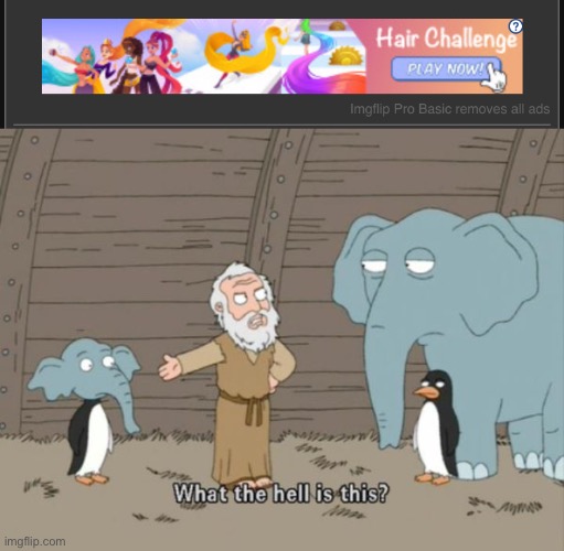image tagged in what the hell is this | made w/ Imgflip meme maker