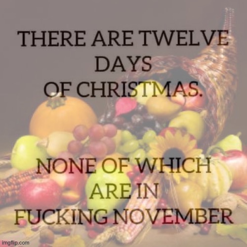 12 days of Christmas Thanksgiving | image tagged in 12 days of christmas thanksgiving | made w/ Imgflip meme maker