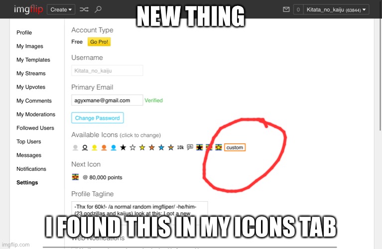 NEW THING; I FOUND THIS IN MY ICONS TAB | made w/ Imgflip meme maker
