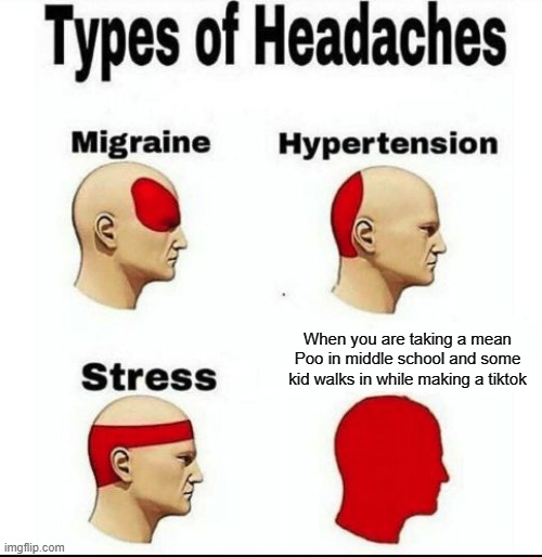 Types of Headaches meme | When you are taking a mean Poo in middle school and some kid walks in while making a tiktok | image tagged in types of headaches meme | made w/ Imgflip meme maker