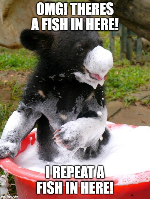 Bear and fish | OMG! THERES A FISH IN HERE! I REPEAT A FISH IN HERE! | image tagged in bear,bath | made w/ Imgflip meme maker