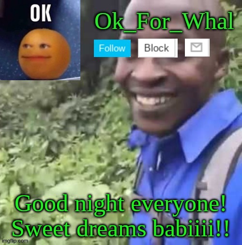 gn |  Good night everyone! Sweet dreams babiiii!! | image tagged in ok_for_what temp | made w/ Imgflip meme maker