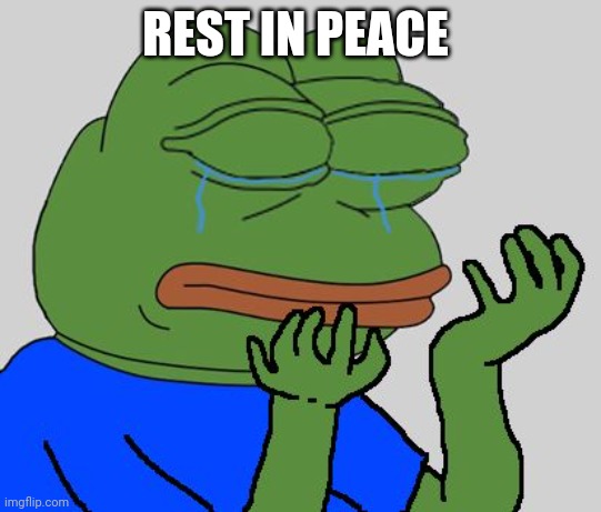 pepe cry | REST IN PEACE | image tagged in pepe cry | made w/ Imgflip meme maker