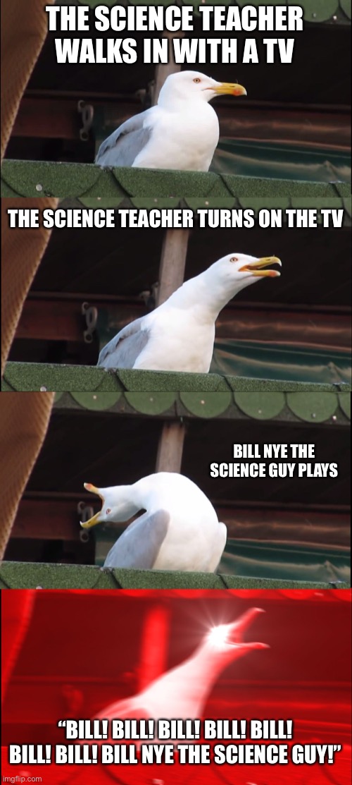 Bill Nye the Science Guy | THE SCIENCE TEACHER WALKS IN WITH A TV; THE SCIENCE TEACHER TURNS ON THE TV; BILL NYE THE SCIENCE GUY PLAYS; “BILL! BILL! BILL! BILL! BILL! BILL! BILL! BILL NYE THE SCIENCE GUY!” | image tagged in memes,inhaling seagull,bill nye the science guy | made w/ Imgflip meme maker