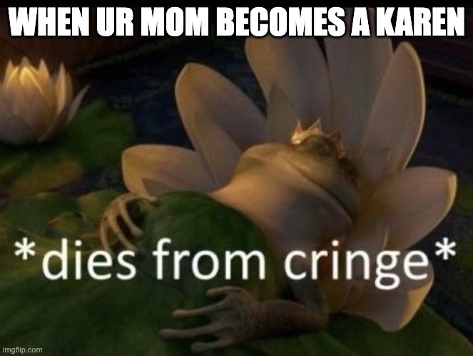 Dies from cringe | WHEN UR MOM BECOMES A KAREN | image tagged in dies from cringe | made w/ Imgflip meme maker