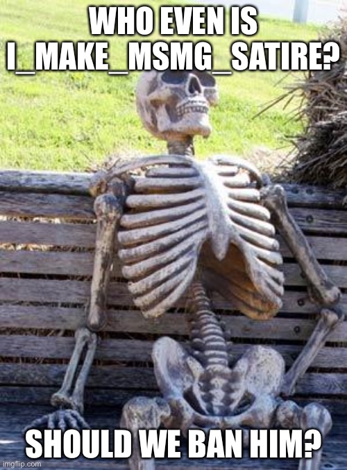 Waiting Skeleton Meme | WHO EVEN IS I_MAKE_MSMG_SATIRE? SHOULD WE BAN HIM? | image tagged in memes,waiting skeleton | made w/ Imgflip meme maker