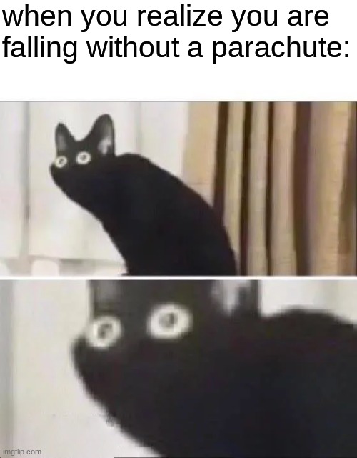 Oh No Black Cat | when you realize you are falling without a parachute: | image tagged in oh no black cat | made w/ Imgflip meme maker