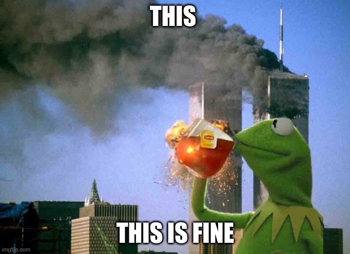 Burn baby burn | THIS; THIS IS FINE | image tagged in burn baby burn | made w/ Imgflip meme maker