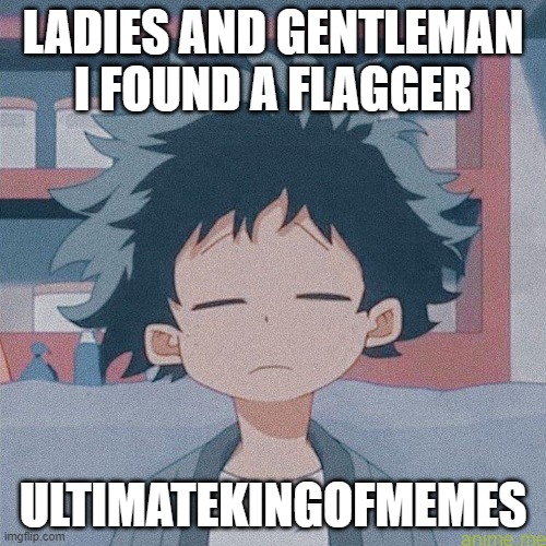 s t o p | LADIES AND GENTLEMAN I FOUND A FLAGGER; ULTIMATEKINGOFMEMES | image tagged in mm | made w/ Imgflip meme maker